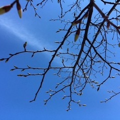 Open Signal - 7 minute submission