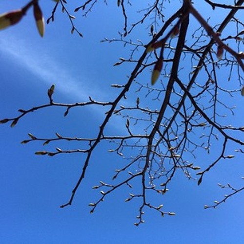 Open Signal - 7 minute submission