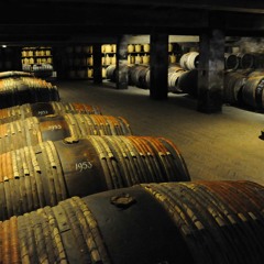 Surowy - Snifet (prod. by tim)