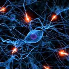 Killawatt - Neural Network