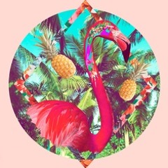 TropicalDayzz