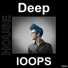 Big Sounds Deep House Loops