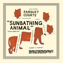 Parquet Courts - Instant Disassembly