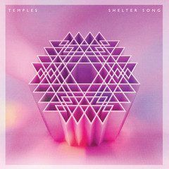 Temples - Shelter Song (Leftside Wobble Rocks The Discoteque Mix)