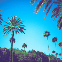 Blue Skies (Demo)