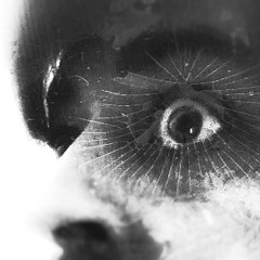 Robot in my Veins