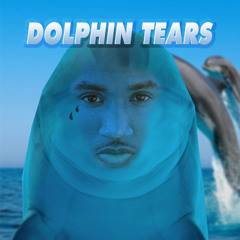 DIVE IN (DOLPHIN TEARS REMIX)