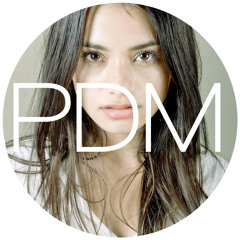 Aylin - Half Of Me (Paul Damixie`s Sunburn Remix)