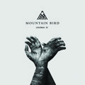 Mountain&#x20;Bird The&#x20;Visitor Artwork