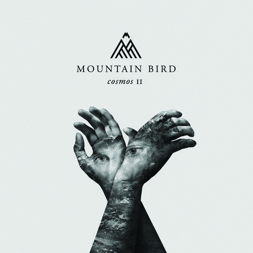 Mountain Bird - The Visitor