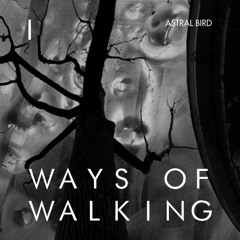 Astral Bird - Ways of Walking Pt. I