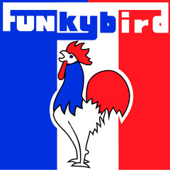 Funkybird: Blues For Ben (Stanton Moore Cover)