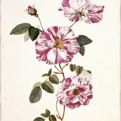 Skinny Boy feat. David Hyde of Hyde Instrumentals