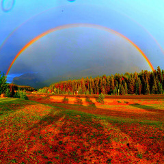 Day 1 — Body Scan (0.1 Hour)