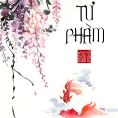 Tư Phàm - HITA