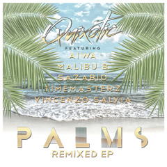 Quixotic - Palms (Vincenzo Salvia Remix)