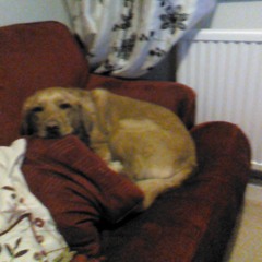 Cantina Band (Electro Swing Remix)