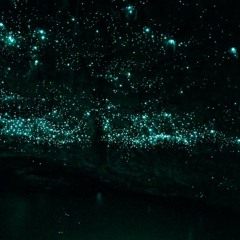 Glow Worm Waters
