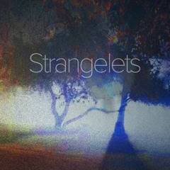 Strangelets