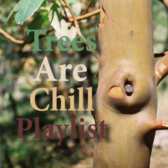 Trees Are Chill Playlist (Music featured on Treesarechill.com)