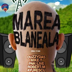 Mike T  - Live @ Marea Blaneala  - 1'st Of May 2014 - Day 1