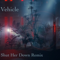 Anneka - Shut Her Down (Vehicle Remix)[Vehicle Archive]