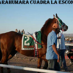 Omar El Alacran Valenzuela - El Tarahumara [Alta Calidad]