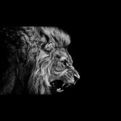 Sheek Hanif - Yung Flo Diss