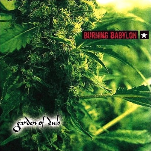 Burning Babylon - Into Twilight [Atma Remix]