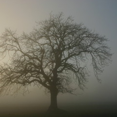 Radiohead cover-Fog (live version)