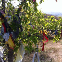 today i am thankful.