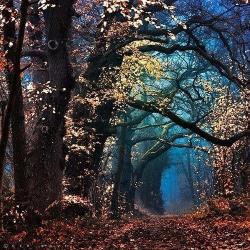 Mr.Within's Dream ∞ 16/5/14 ∞ Beautiful Music Daily