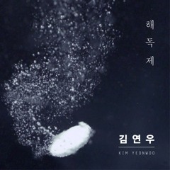 김연우 - 해독제 (Inst.) / Kim Yeon Woo - Antidote (Inst.)