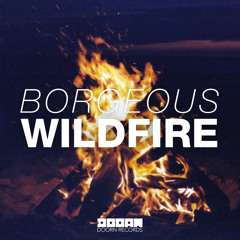 Borgeous - Wildfire (Danny Howard BBC Radio 1 Rip) [Available June 9]