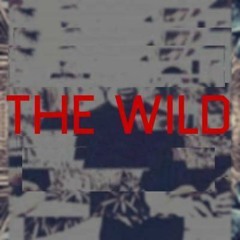 StrangeZoo - THE WILD (Prod. Blizzi Boi x StrangeZoo)