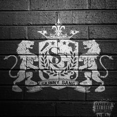 The Skinny Gang mixtape volume 1 mixed by dj ozo