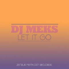 DJ MEKS - Let It Go - Preview - coming soon at 20.06.2014