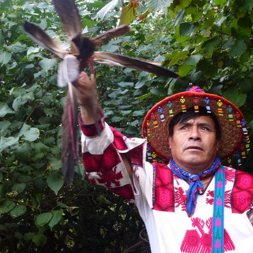 CD - Wixárika Marakamé Don Andrés Raureme © MOTHER EARTH PROJECT 2014