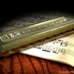 Celine Dion - My Heart Will Go On (Harmonica Cover)