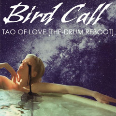 Bird Call - Tao Of Love (The - Drum Reboot)