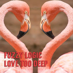 Fuzzy logic - Love Too Deep mix