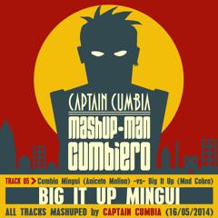 BIG IT UP MINGUI [Aniceto Molina -vs- Mad Cobra]