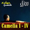 Ebiet G Ade - Camelia I - IV