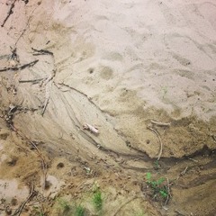 ＣＯＮＴＩＮＵＥ？