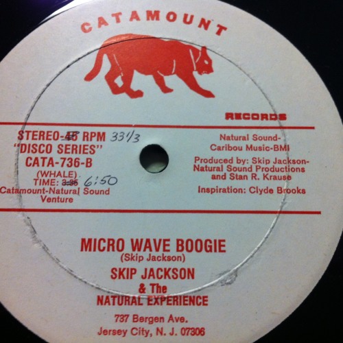 Skip Jackson & The Natural Experience - Micro Wave Boogie
