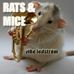 Rats & Mice (part 1)