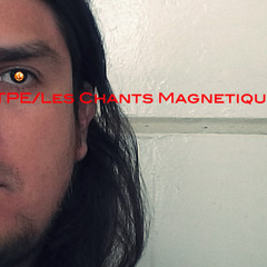 TPE - Magnetic Fields Part 2 (COVER)