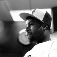 Dilla Flip