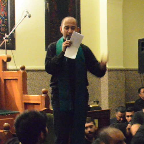 زینب و نفس های آخر - سید مصطفی الموسوی