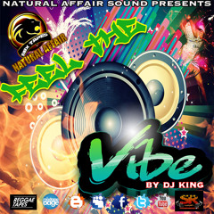 FEEL THE VIBE MIXTAPE 2k14